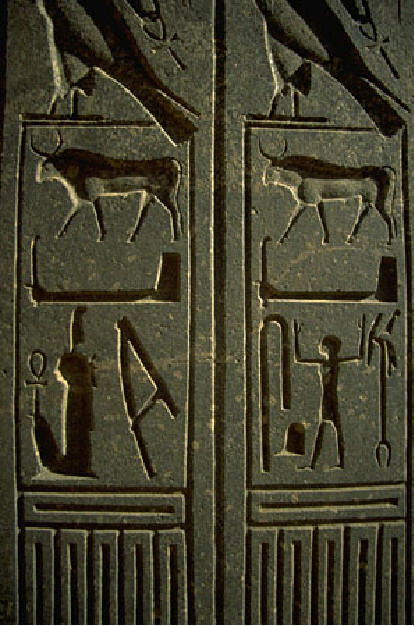 Picture of hieroglyphs